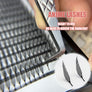 New Anime Tower Spire Premade Eyelash Fans