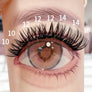 DF01 cluster DIY lashes Kit - 144 clusters - MUA Lashes Collections