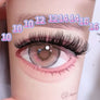 DF10 cluster DIY lashes Kit- 144 clusters