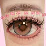 DF12 cluster DIY lashes Kit - 144 clusters - MUA Lashes Collections