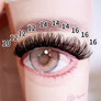 DF14 cluster DIY lashes Kit - 144 clusters - MUA Lashes Collections