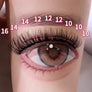DF17 cluster DIY lashes Kit - 144 clusters - MUA Lashes Collections