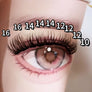 DF19 cluster DIY lashes Kit - 144 clusters - MUA Lashes Collections