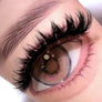 DF28 cluster DIY lashes Kit - 144 clusters - MUA Lashes Collections