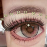 SH06 cluster DIY lashes Kit - 168 clusters - MUA Lashes Collections