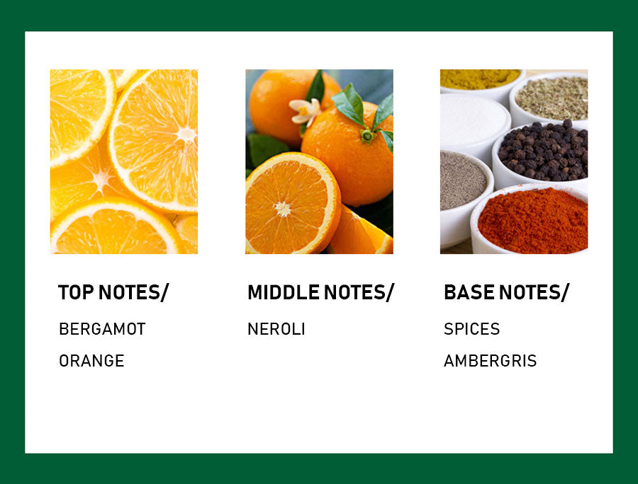 100 ml Spicy citrus notes perfume for men supplier - MUA Lashes Collections