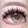 DF05 cluster DIY lashes Kit - 144 clusters - MUA Lashes Collections