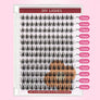 DF12 cluster DIY lashes Kit - 144 clusters - MUA Lashes Collections