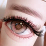DF14 cluster DIY lashes Kit - 144 clusters - MUA Lashes Collections