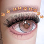 DF18 cluster DIY lashes Kit - 144 clusters - MUA Lashes Collections