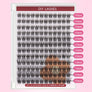 DF19 cluster DIY lashes Kit - 144 clusters - MUA Lashes Collections