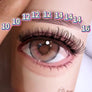 DF22 cluster DIY lashes Kit - 144 clusters - MUA Lashes Collections
