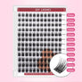 DF23 cluster DIY lashes Kit - 144 clusters - MUA Lashes Collections