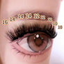DF24 cluster DIY lashes Kit - 144 clusters - MUA Lashes Collections