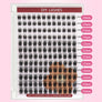 DF25 cluster DIY lashes Kit - 144 clusters - MUA Lashes Collections