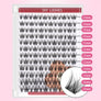 DF26 cluster DIY lashes Kit - 144 clusters