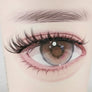 DF26 cluster DIY lashes Kit - 144 clusters