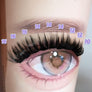 DF27 cluster DIY lashes Kit - 144 clusters - MUA Lashes Collections