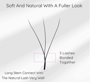 YY/W Lash Extension - MUA Lashes Collections